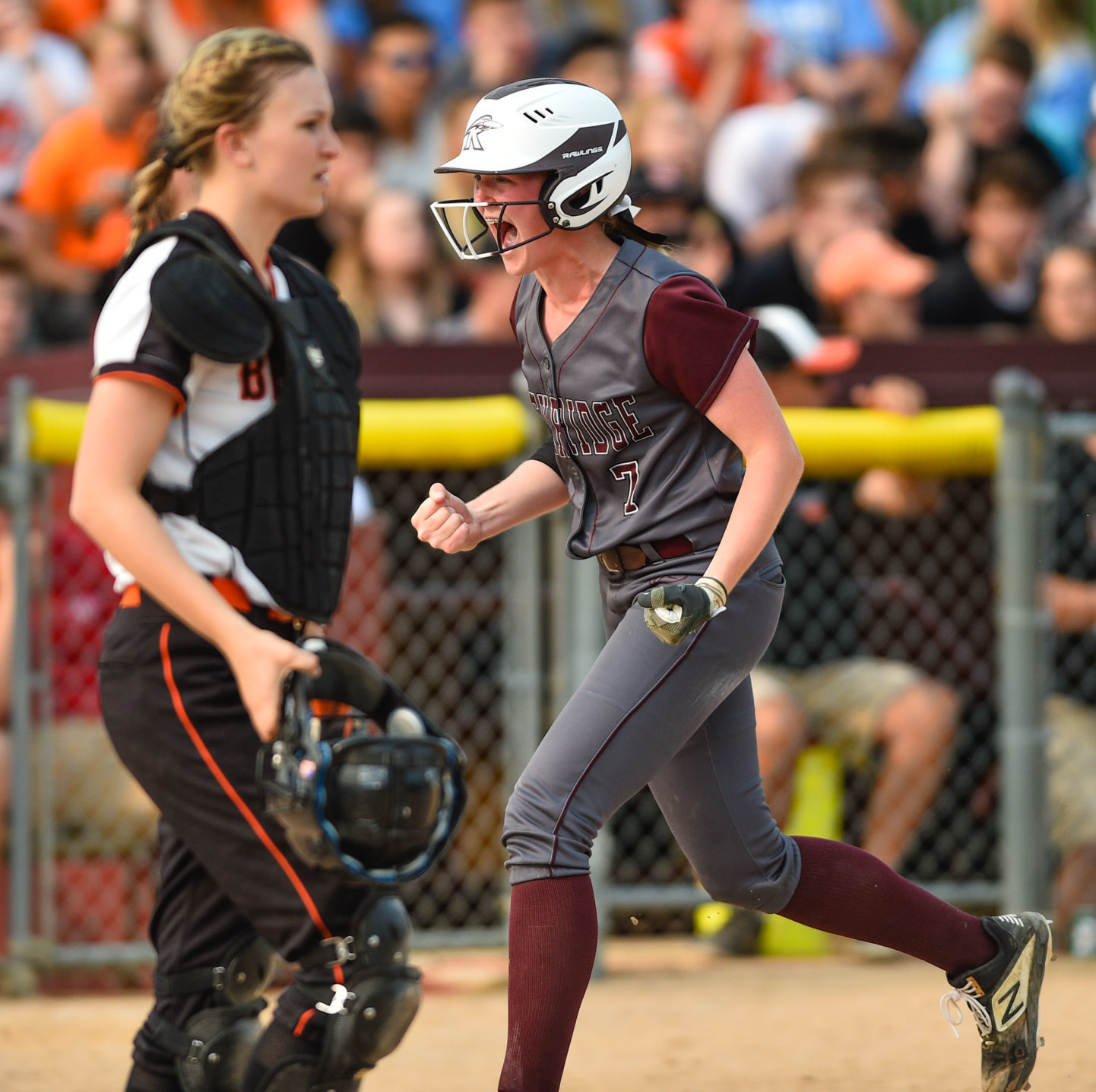 State softball